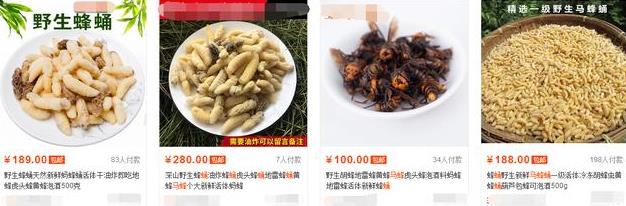 农村人又爱又恨的小昆虫，如今搬上餐桌，真下不去口