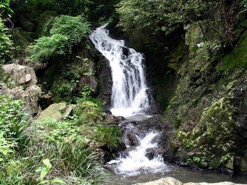 虫草山水画,四季花草山水画作品欣赏