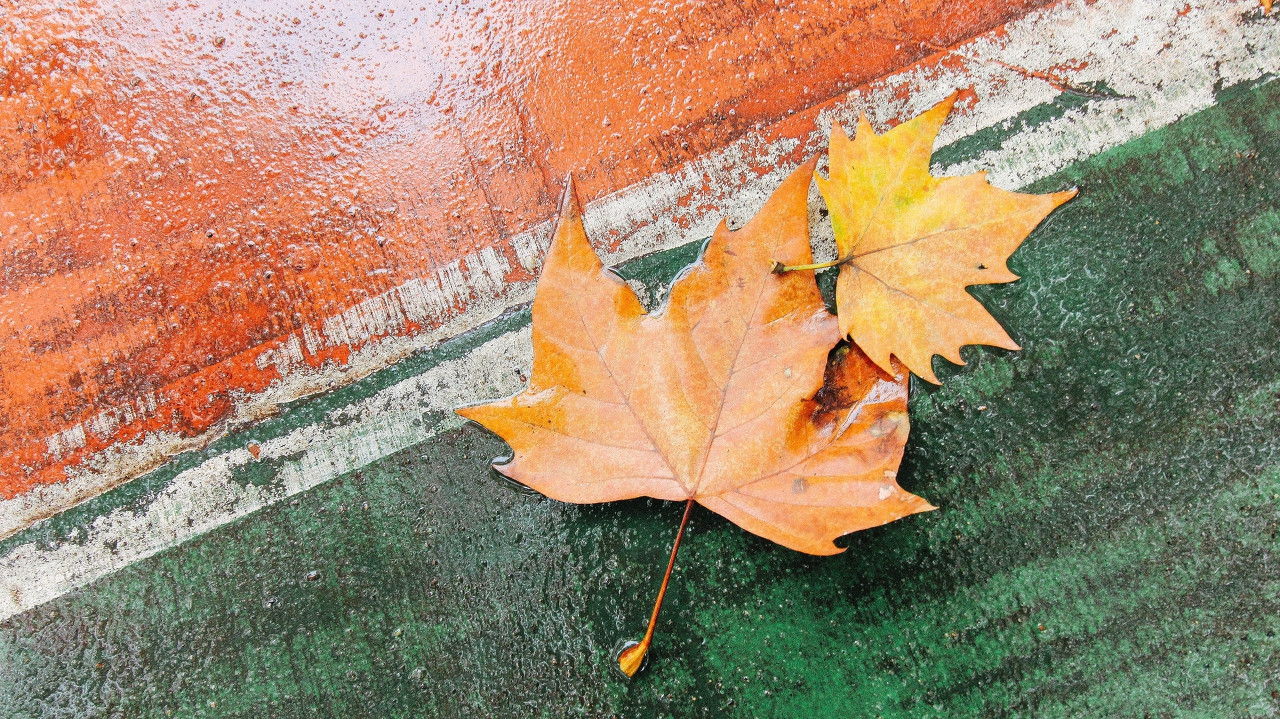 8090年后童年的回忆,8090后的童年回忆作品