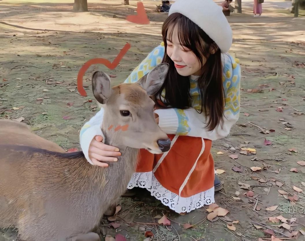 拍照不显胖不显矮的姿势,又矮又胖拍照动作