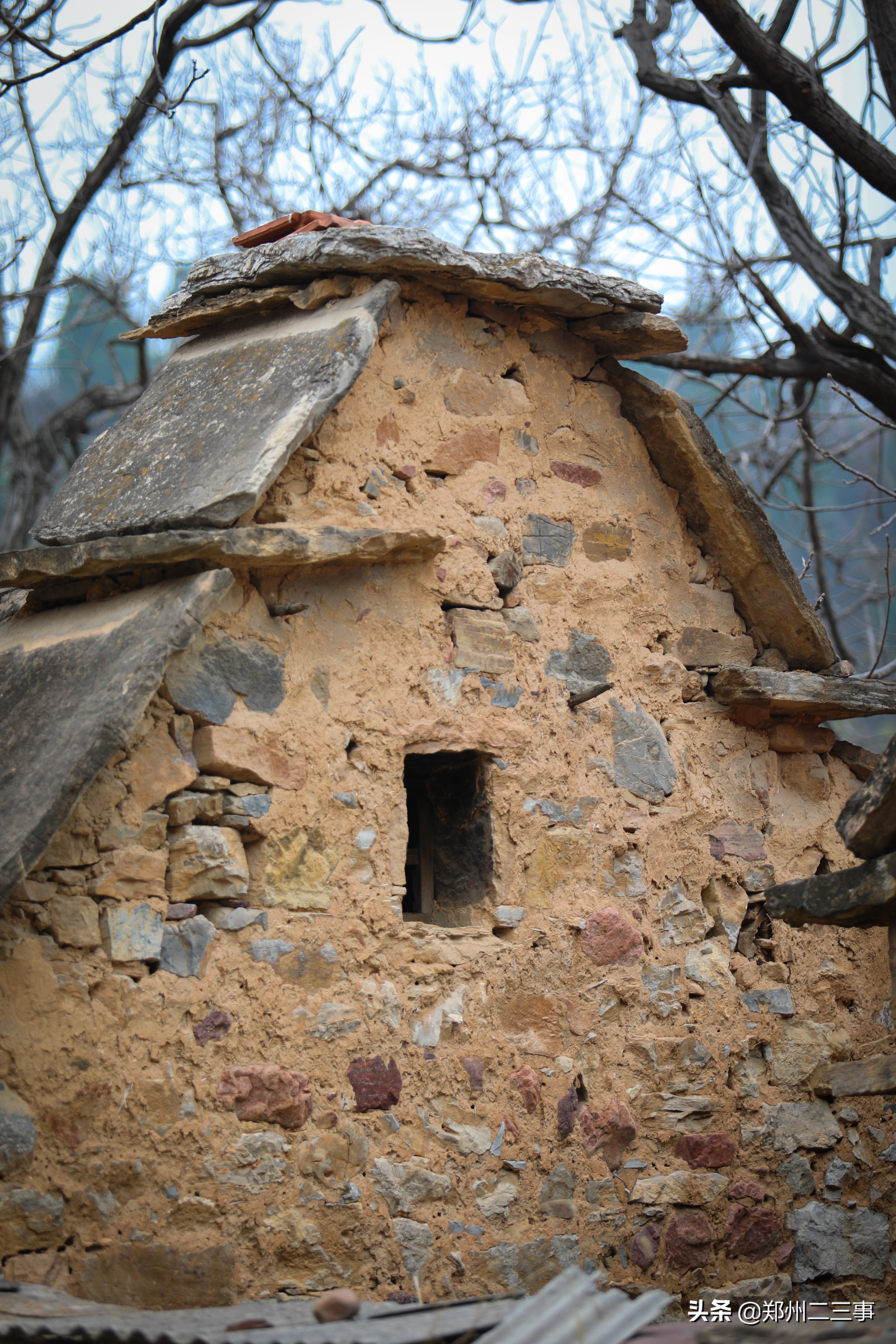 郑州惠济区免费遛娃好去处植物园,郑州遛娃踏青好去处
