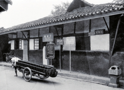 张西南摄影师,张西南照片大全