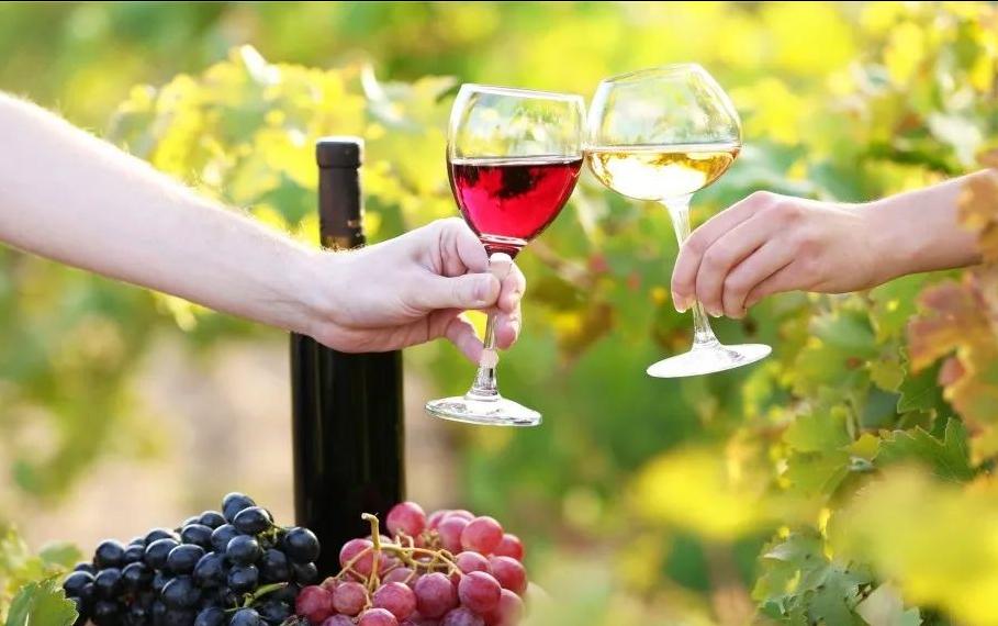 如何快速入行葡萄酒销售,葡萄酒店面销售技巧