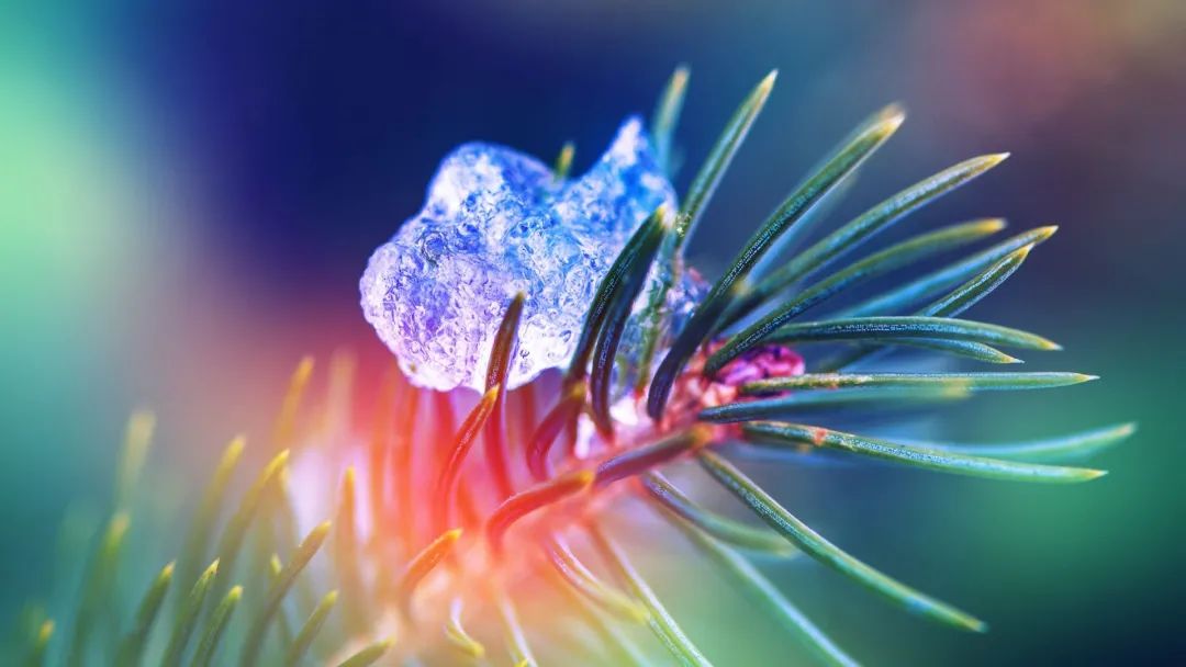 社恐遇到了社交牛逼症,社交牛逼症如何消除