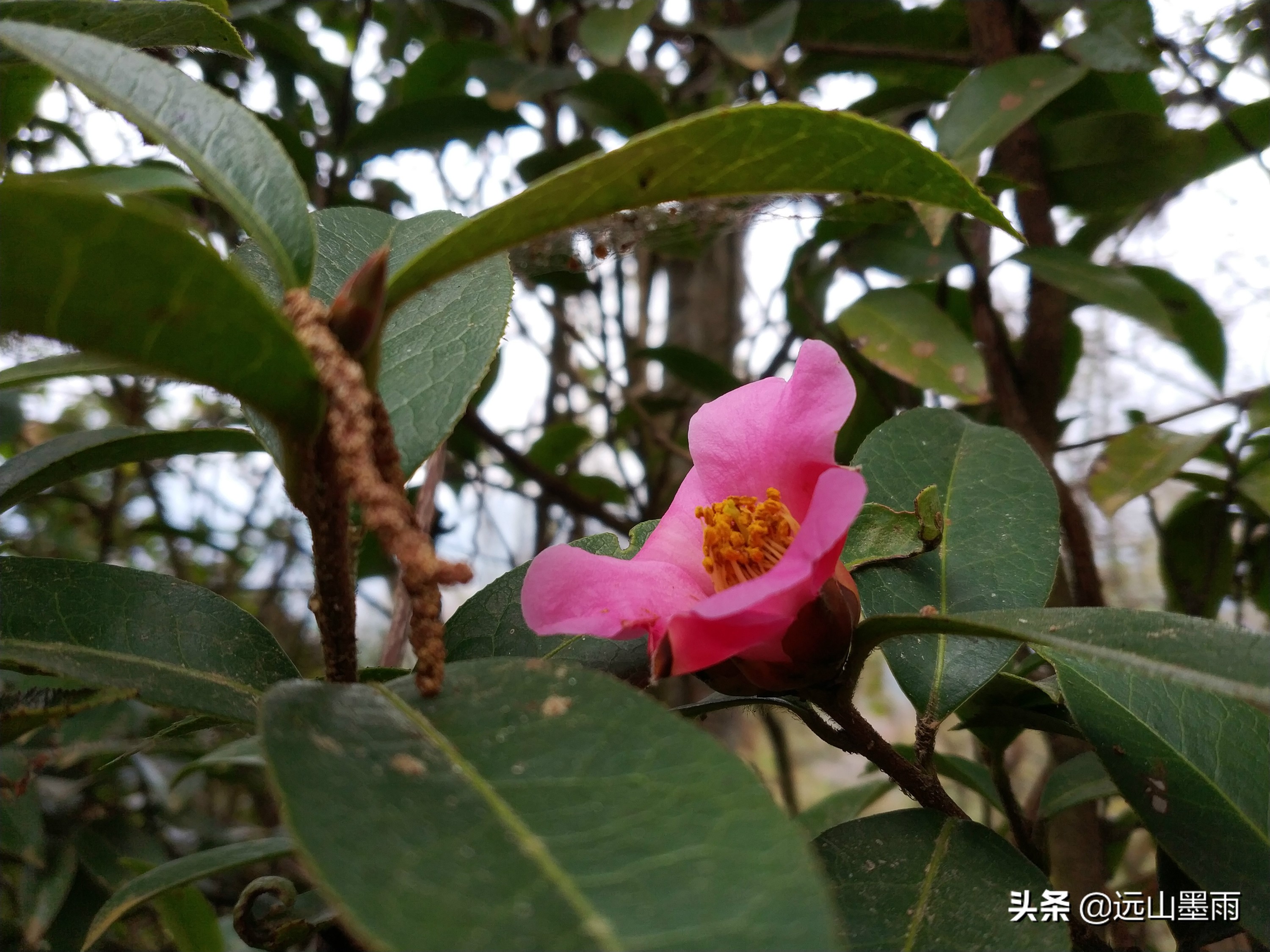 西山旅游公路穿越攻略,昆明西山爬山攻略最佳线路