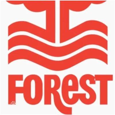 23-24赛季英冠联赛排名,英冠联赛一览表