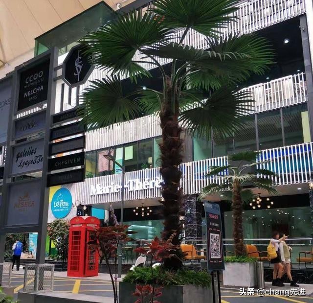 广州周边情侣出游最佳旅行地,情侣旅游地点推荐广州拍照