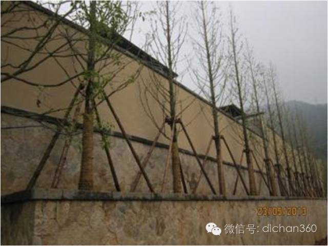 园林景观交付前十三道评估项,园林交付评估细节有哪些