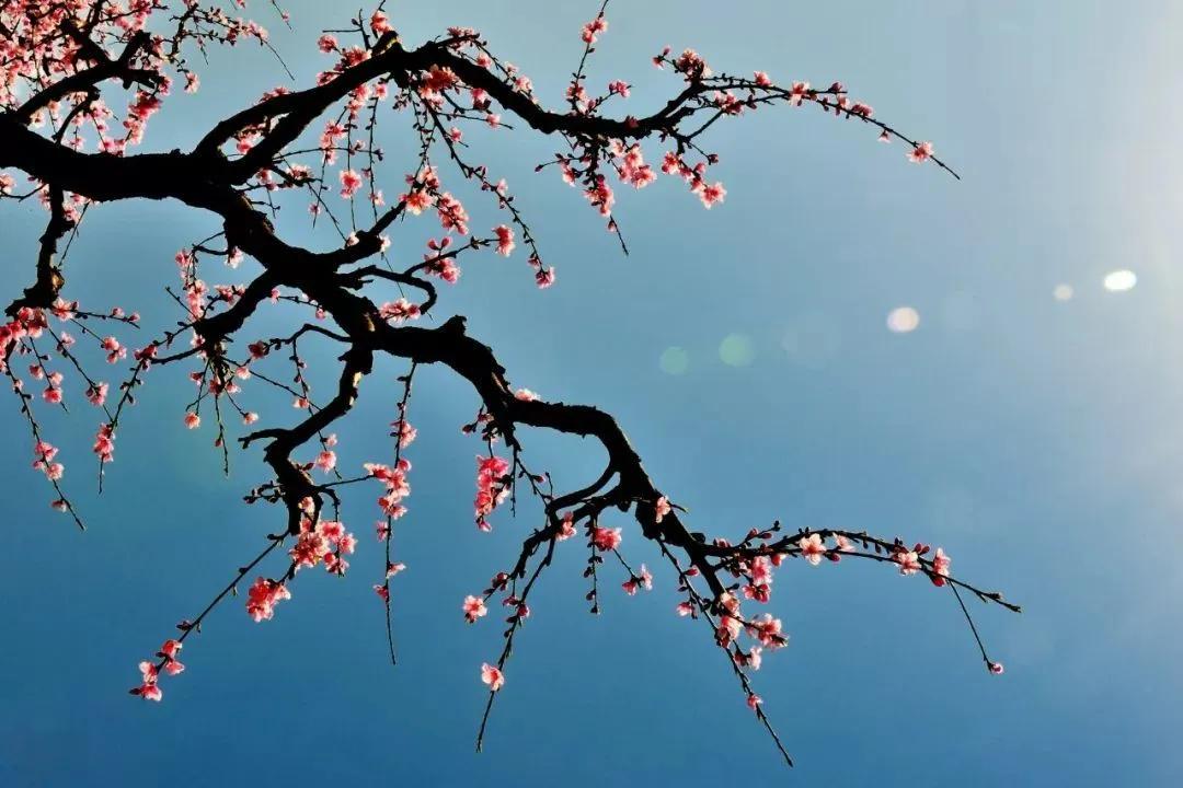 惊艳千年的四十句诗,这些诗句超美却很冷门鲜有人知