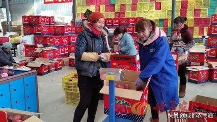 水果行业应该怎么做,怎么样才能把水果行业做大做强