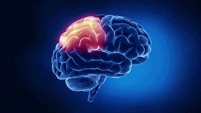 鹦鹉可以模仿任何声音吗,鹦鹉能模仿人说话英文怎么说