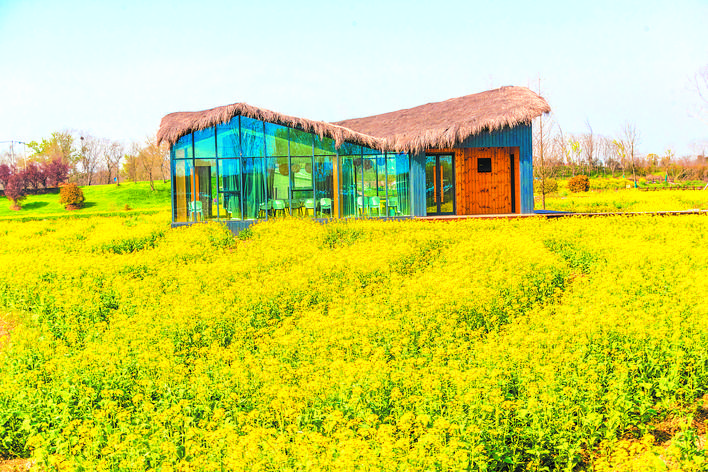 “美丽”的密码，一起去蜀山区小庙镇开启“寻美之旅”