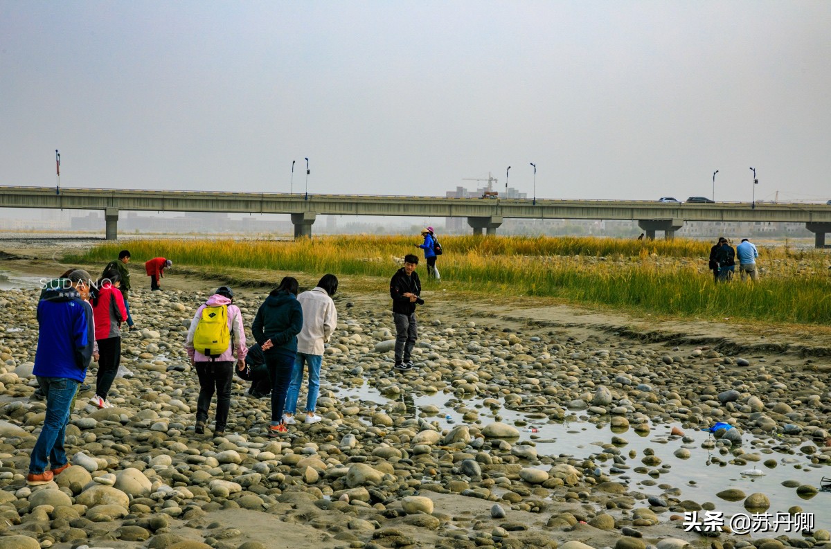 最贵的和田石头,和田石头真值钱吗