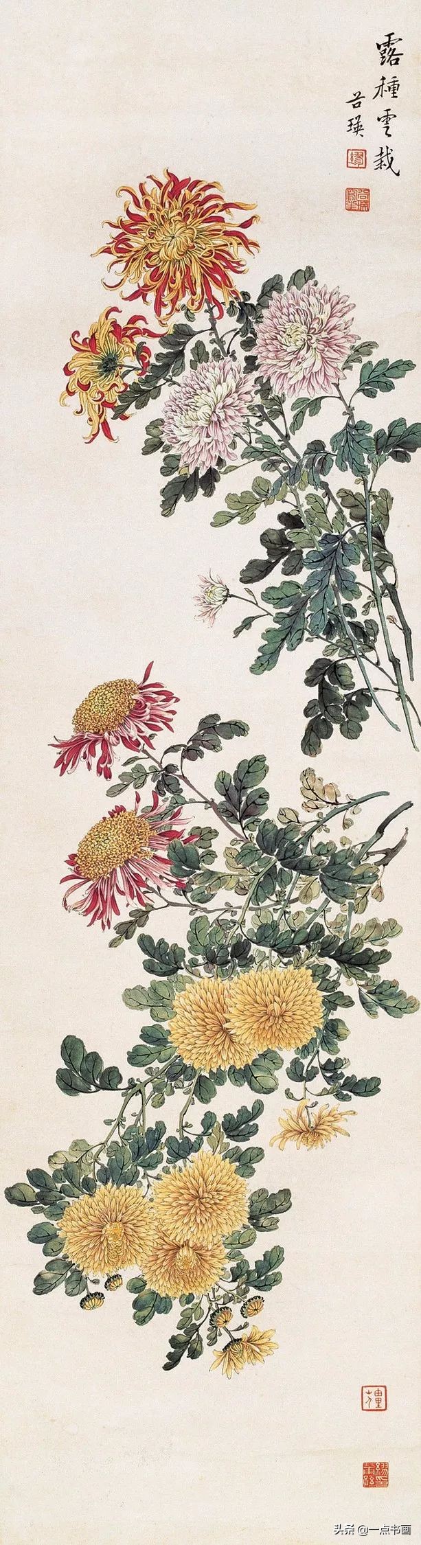 缪谷瑛菊花国画作品专辑,缪谷瑛菊花画法