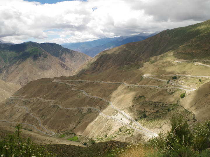 王小花的全部作品,王小花攻略