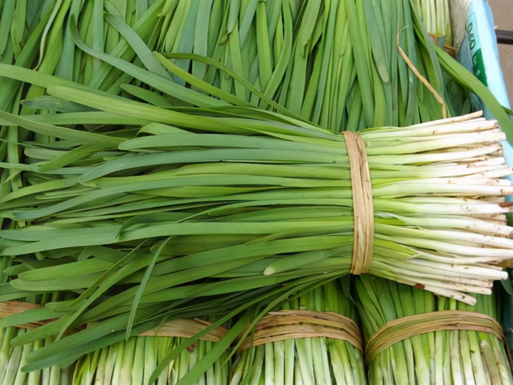 辛集特产酥糖哪个牌子好,河北辛集特产全部