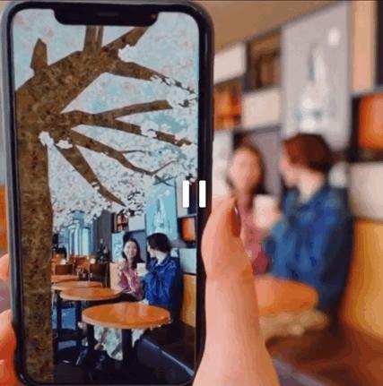 疫情期间为了赏樱花,憋坏了的日本人都想出了哪些另类方法?