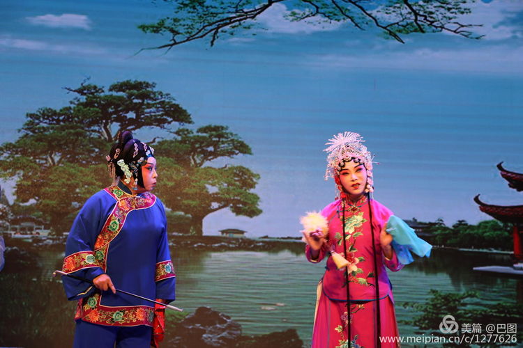 曲剧花为媒经典唱段全场,曲剧花为媒报花名完整唱段