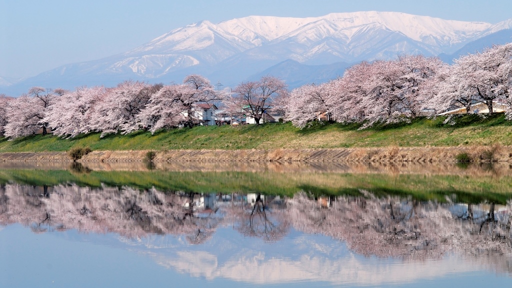 仙台旅游攻略羽生结弦,羽生结弦现在住在仙台吗