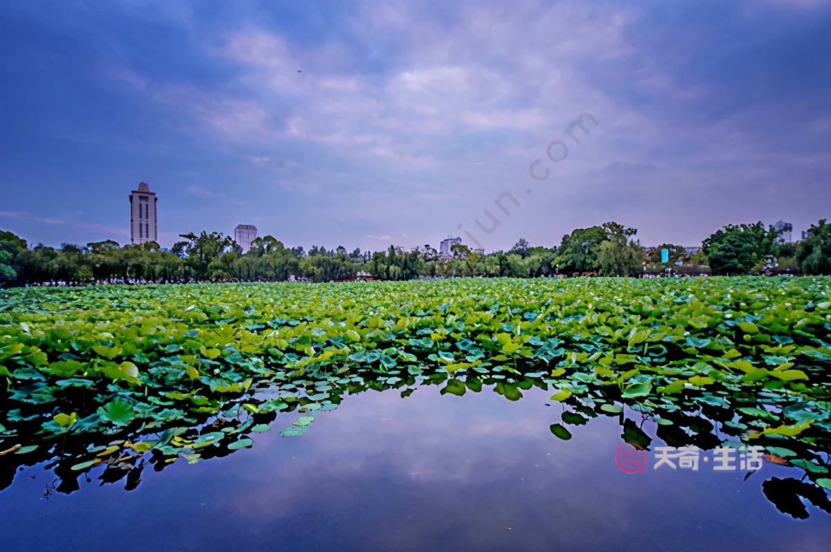 昆明市区有什么好玩的,昆明市区周边好玩的地方推荐