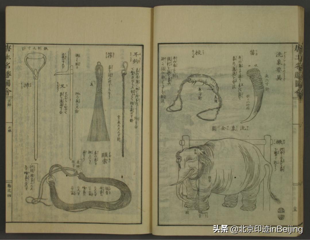 京城水迹|北京城与大象:六月则浴