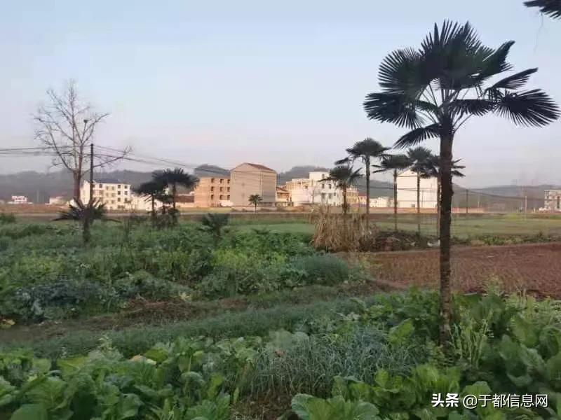 于都县追梦,江西于都追梦