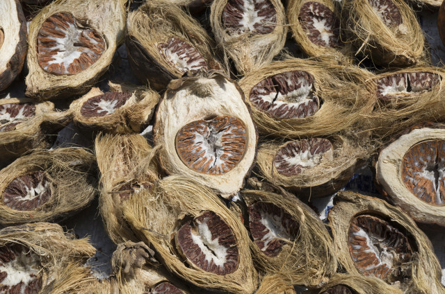 槟榔的可怕后果,槟榔到底有多致命