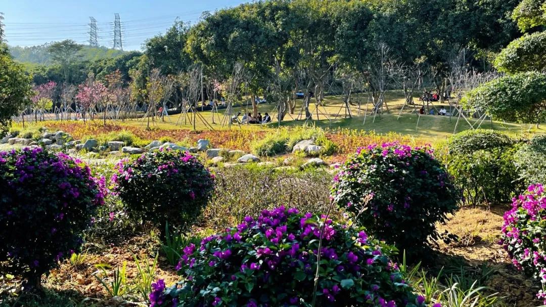 大运绿道跑步路线,大运公园绿道