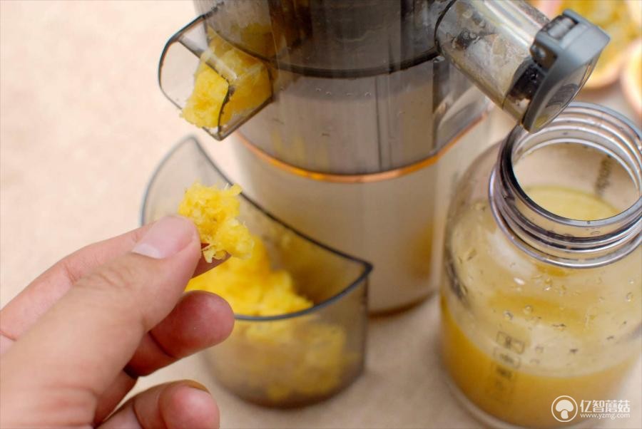 自制苏打气泡水免气泡机,自制气泡果汁