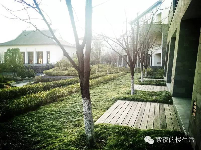 宁波东钱湖雅戈尔香湖湾,宁波柏悦府