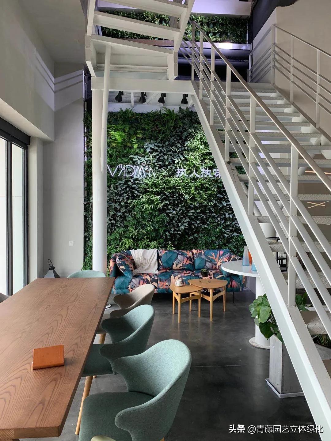 植物墙软装装饰设计,软装墙和植物墙怎么融合