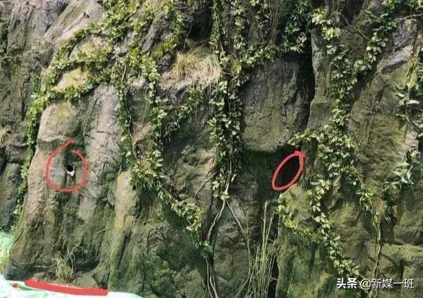 皓衣行路透爬楼梯,皓衣行路透打戏