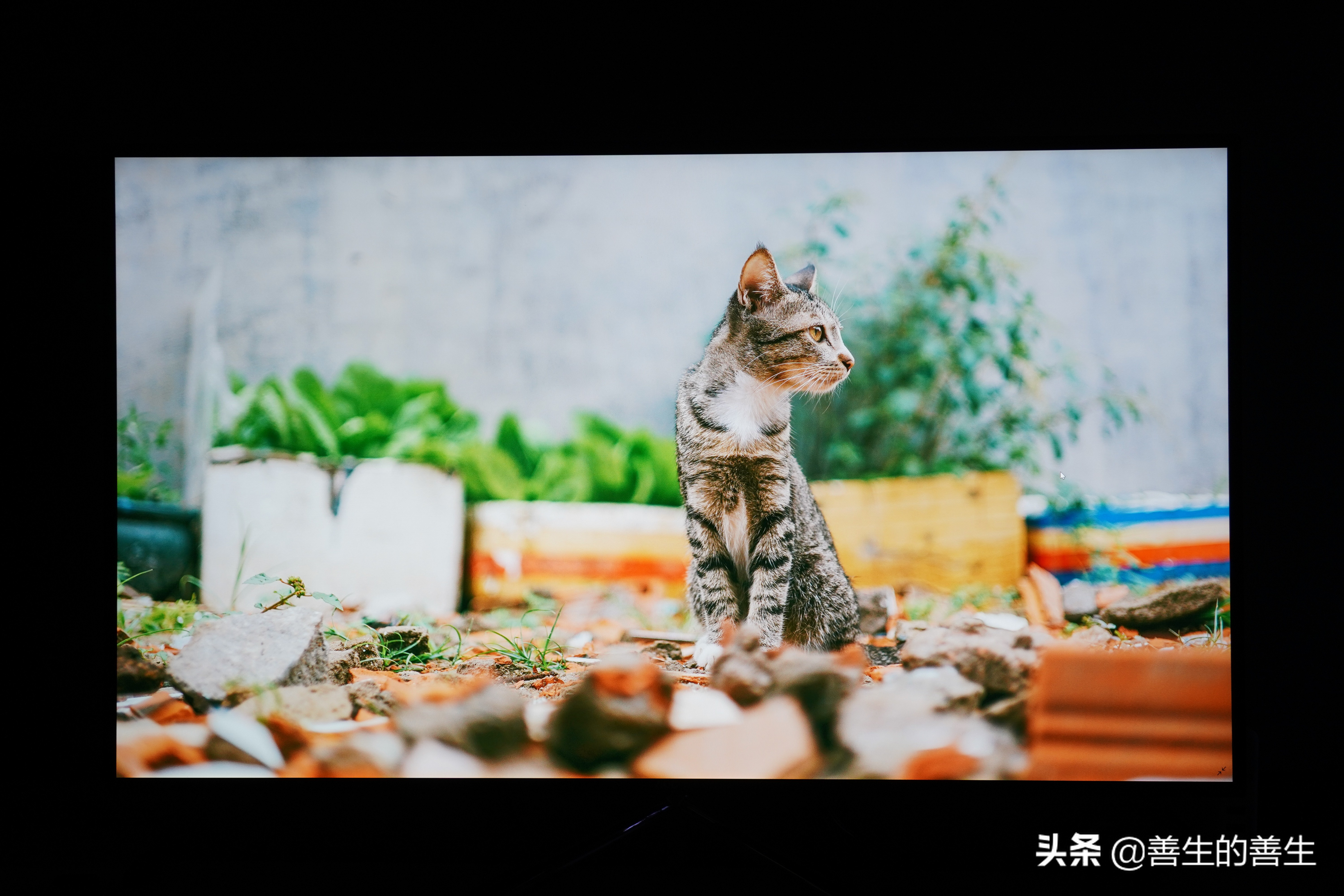 aoc保时捷显示器4k,aoc27寸保时捷显示器