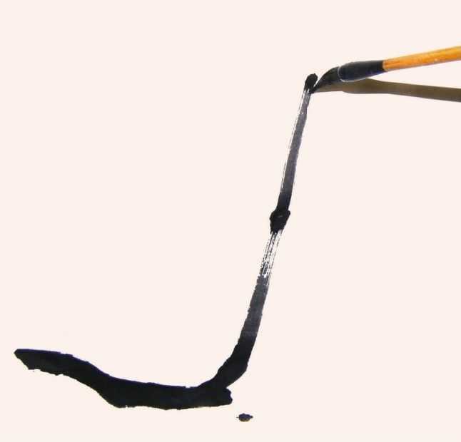 国画教程零基础入门树的画法,国画花卉线稿教程大全