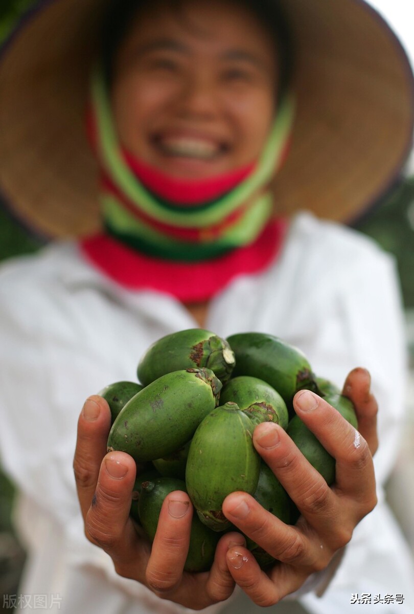 嚼槟榔舌癌,嚼槟榔有什么危害