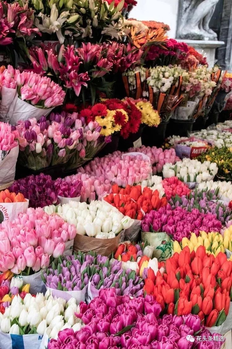 鲜花行业受到电商冲击吗,线上花店的5种盈利模式