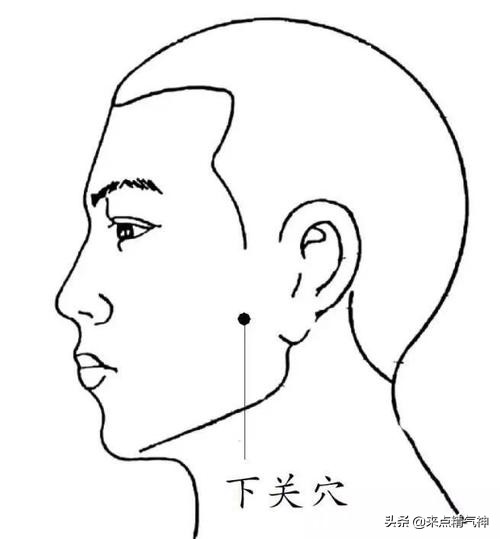 常用针灸52腧穴