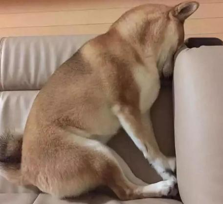 天猫来拯救男性荷尔蒙了!特种材质加持,可用365天