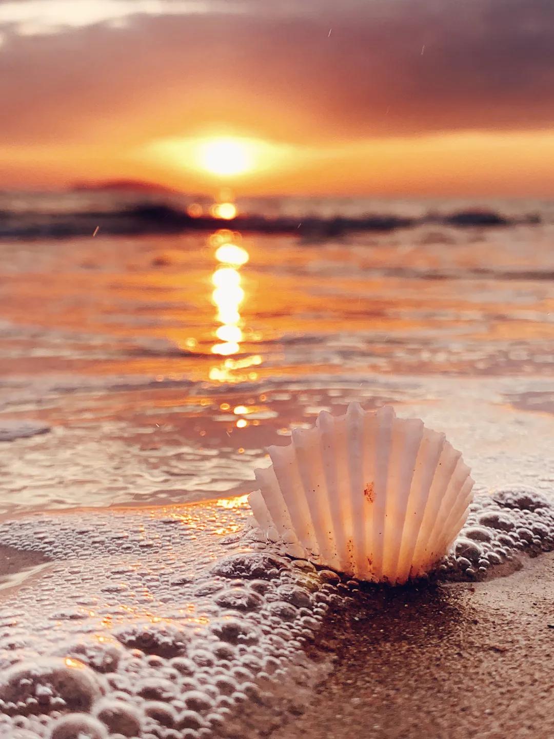 iphone相机操作指南广角镜头篇,iphone相机操作指南3.0