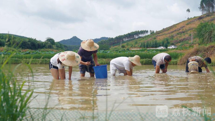 “百城千县万村调研行”|广西柳州:从街头小吃到“网红”,小小螺蛳粉撬动百亿大产业