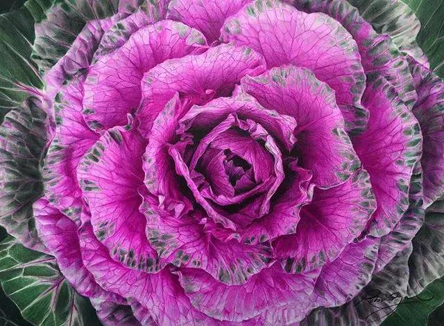 彩铅不会涂色怎么办,彩铅绘画干货