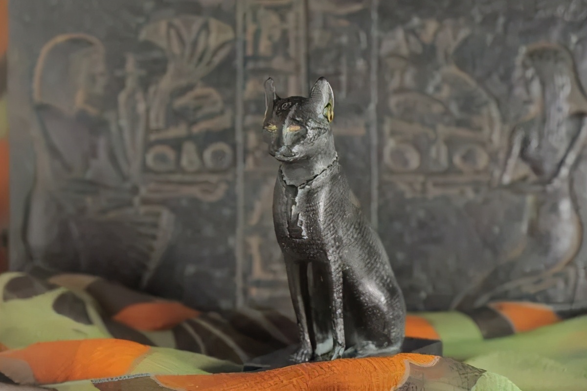 人类对猫的发展史,猫在人类发展历史的地位