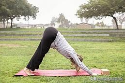 哪个瑜伽收紧臀部效果好,瑜伽练臀部最有效的动作