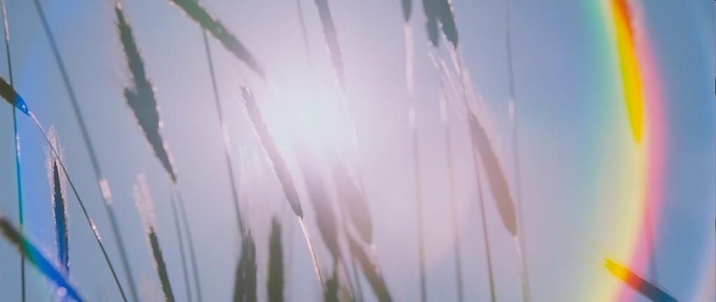 很多人不知道可能怀过孕,有没有毫无征兆怀孕的