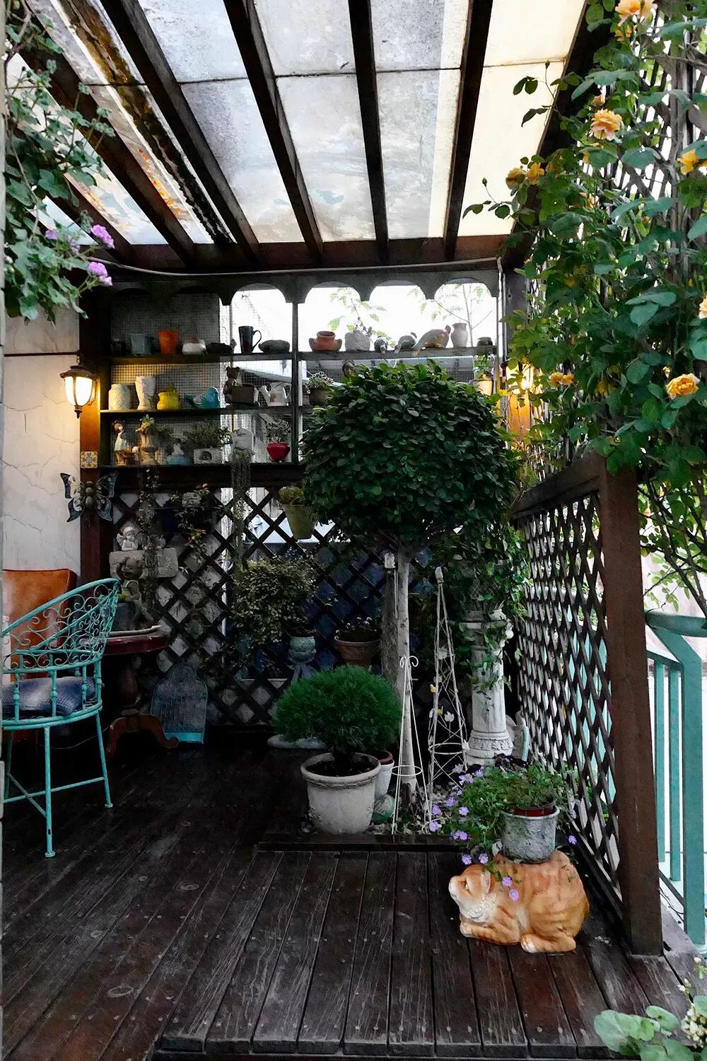 阳光房的植物推荐,北欧封闭阳台植物搭配