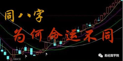 易经八字偏弱怎么调理,命理术数赵惠东