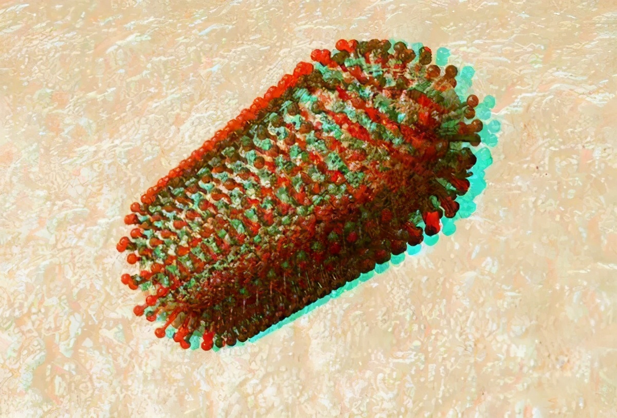 有没有因打狂犬疫苗死亡,因没打狂犬疫苗有死亡的吗