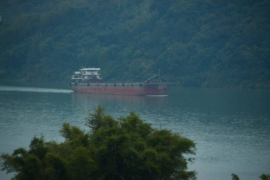 蜜蜂喜欢在什么样的地方居住,蜜蜂一般在野外哪些地方