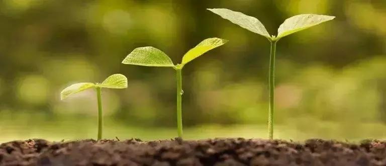 推动党的创新理论入脑入心,推动全党学深悟透党的创新理论