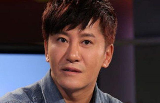 一代巨星毛宁现状,歌手毛宁的现状怎样